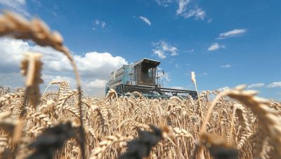 Γ. Γεωργαντάς: Δεν υπάρχει θέμα επισιτιστικής επάρκειας για την Ελλάδα