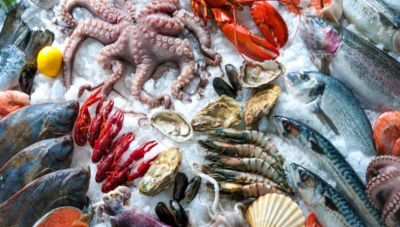 Καθαρά Δευτέρα-Σαρακοστιανό τραπέζι: Τι πρέπει να προσέχουν οι καταναλωτές όταν αγοράζουν θαλασσινά