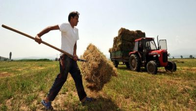 Νέοι αγρότες: Τα επικαιροποιημένα αποτελέσματα της Κρήτης – Πίνακες