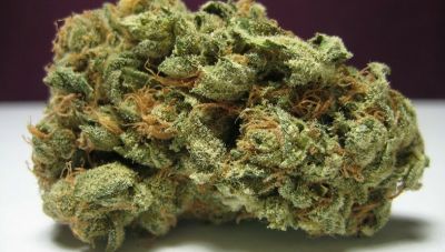 Χανιά: Σε μπελάδες τον έβαλαν 110 γραμμάρια κάνναβης