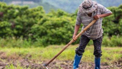 Στύλιος: Έρχεται το Ταμείο Μικρών Δανείων Αγροτικής Επιχειρηματικότητας