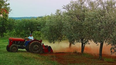 ΠΑΑ: Στα 611 εκατ. ευρώ οι πληρωμές από τις αρχές του ετους