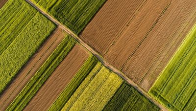 Τράπεζα Πειραιώς: Μείωση στους δείκτες αγροτικών προϊόντων και εμπορευμάτων