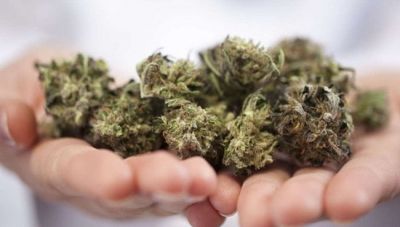 Χανιά: Είχε στην κατοχή του 60 γραμμάρια κάνναβης, ζυγαριά ακριβείας και τρίφτη