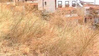 Ο Δήμος Χανίων για τους καθαρισμούς σε ιδιωτικά οικόπεδα για αποφυγή κινδύνου πυρκαγιάς