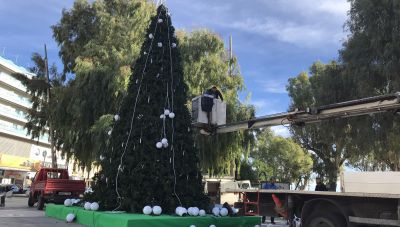 Ηράκλειο: Στολίστηκε το Χριστουγεννιάτικο δέντρο - Πυρετώδεις οι προετοιμασίες (Φώτος)