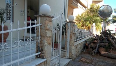 Hράκλειο: Παρελθόν αποτελεί το πεύκο στην οδό Ιάσωνος στο Μασταμπά  (φωτο +βίντεο)