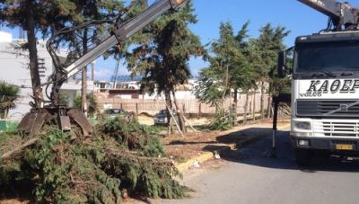 Δήμος Ηρακλείου: Εργασίες για την απομάκρυνση δύο δέντρων την Τετάρτη