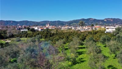 Στην Κρήτη σήμερα η υψηλότερη θερμοκρασία της ημέρας αλλά και η 2η χαμηλότερη