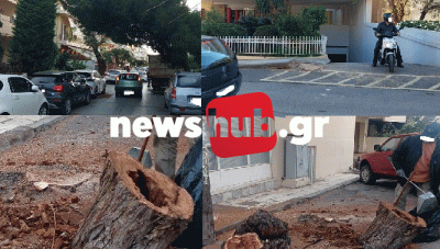 Ηράκλειο: Πήραν «φωτιά» τα αλυσοπρίονα - Κόβονται τα επικίνδυνα δέντρα (φωτο+βίντεο)