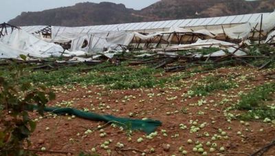 Δ. Πλατανιά: Παραδόθηκαν από τον ΕΛΓΑ τα πορίσματα για τη θεομηνία του 2019