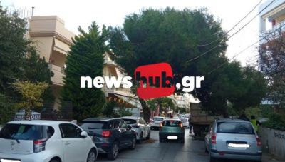 Δήμος Ηρακλείου: Το ζήτημα των δέντρων στο... τραπέζι - Συζήτηση και για το κυκλοφοριακό