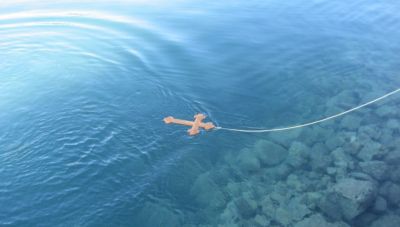 Η γιορτή των Θεοφανείων στην ενορία Κάτω Γουβών
