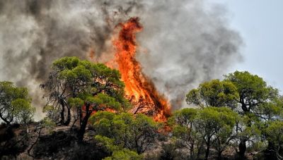 Συνεχίζεται η μάχη με τις φλόγες: Διευρύνεται η διεθνής βοήθεια- Η εικόνα στα μέτωπα