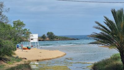 Ακρωτήρι Χανίων: Παρέμβαση για προστασία των αμμόλοφων και του υγρότοπου στην παραλία Καλαθά 