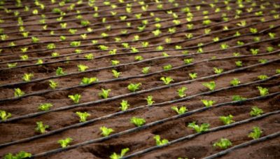 Δήμος Μινώα Πεδιάδας: Αναρτήθηκαν οι κατάλογοι άρδευσης και περιβαλλοντικού τέλους