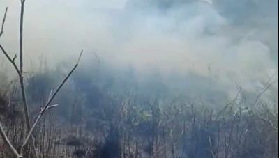 Δασική πυρκαγιά στον Πατσίδερο – Αντίστροφη μέτρηση για την έναρξη της αντιπυρικής περιόδου (Βίντεο)