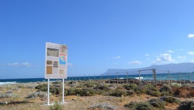 Χαράλαμπος Φασουλάς: «Στην Κίσσαμο υπάρχει ίσως η σημαντικότερη παλαιοντολογικά θέση της χώρας μας»