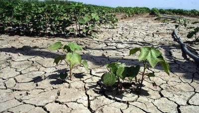 Meteo: Οι περιοχές της Ελλάδας που κινδυνεύουν με ερημοποίηση λόγω της ξηρασίας- Ανάμεσα τους και η Κρήτη