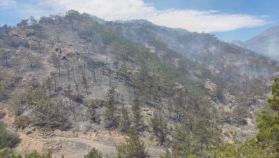 Προσωρινά κρατούμενος ο 35χρονος για την πυρκαγιά στην Ιεράπετρα