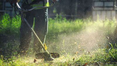 Δήμος Σητείας: Καλεί τους πολίτες να καθαρίσουν οικόπεδα και υπαίθριους χώρους