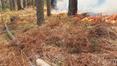 Καταγράφηκαν 56 αγροτοδασικές πυρκαγιές το τελευταίο 24ωρο
