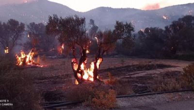 Άμεσα μέτρα στήριξης των πληγέντων από την πυρκαγιά στο Αμάρι Ρεθύμνου και μέτρα για την ενίσχυση της πυροπροστασίας.
