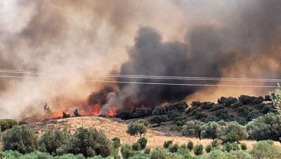 Διαμάντω Μανωλάκου - ΚΚΕ: Να ενισχυθούν οι δυνάμεις που επιχειρούν στην πολύ μεγάλη φωτιά στη Βορειοανατολική Αττική