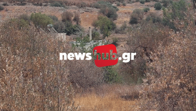 Φωτορεπορτάζ που κόβει την ανάσα - Ελαιώνες που έχουν ξεραθεί εντελώς στη Νότια Κρήτη!