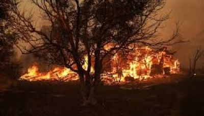 Πυροσβεστική: 31 αγροτοδασικές πυρκαγιές το τελευταίο 24ωρο σε όλη τη χώρα