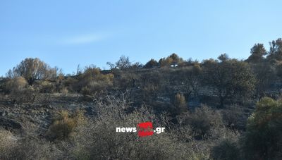 Κρήτη: Στο επίκεντρο η στήριξη των πυρόπληκτων μετά την καταστροφική πυρκαγιά στο Αμάρι