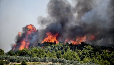 Στο κίτρινο ο νομός Λασιθίου – Υψηλός ο κίνδυνος για πυρκαγιά