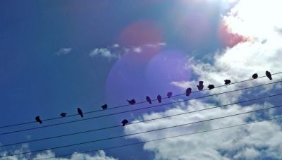 Γενικά αίθριος καιρός - Αναλυτική πρόγνωση