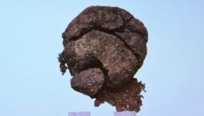 Ψωμί 8.600 ετών βρέθηκε στο Çatalhöyük της Τουρκίας
