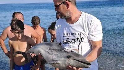 Νεκρό δελφινάκι στη Νότια Κρήτη