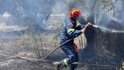 Πυροσβεστική: 30 αγροτοδασικές πυρκαγιές το τελευταίο 24ωρο σε όλη την χώρα