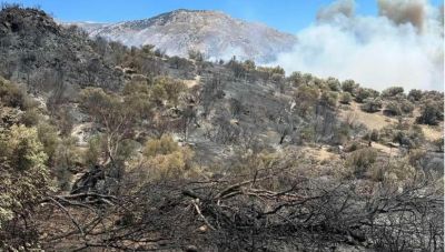 Φωτιά στο Ρέθυμνο: Μαίνεται ανεξέλεγκτη - Εκκενώθηκαν έξι οικισμοί