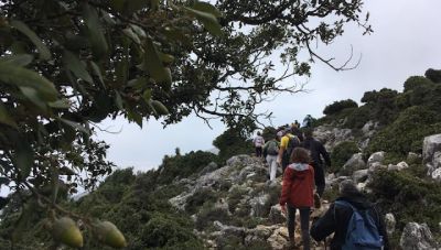 Πεζοπορία στο Αζιλακόδασος Λασιθίου