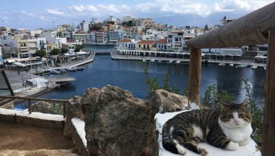 Εορταστική πεζοπορία στο Λασίθι