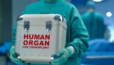 Κρήτη: Μεγαλείο ψυχής από την οικογένεια της 33χρονης που τραυματίστηκε στην Πρέβελη - Δωρίζουν τα όργανα της