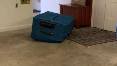 ΗΠΑ: Ισόβια σε 47χρονη που έκλεισε τον σύντροφό της σε βαλίτσα με αποτέλεσμα να πεθάνει