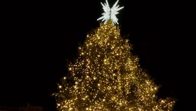 Θεσσαλονίκη: Φωταγωγήθηκε το χριστουγεννιάτικο δέντρο στην πλατεία Αριστοτέλους