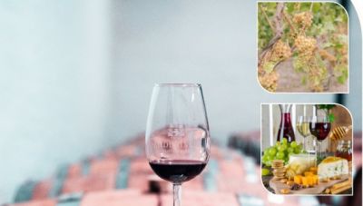 ΚΕΚ Επιμελητηρίου Ηρακλείου: Σεμινάρια «Wine World & Food Wine Pairing»