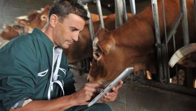 Ο ΕΛΓΑ προσλαμβάνει κτηνιάτρους-Δυο στο Ηράκλειο