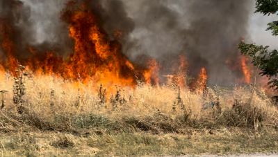 Ηράκλειο: Κινητοποίηση για φωτιά στο Κατωφύγι - Προληπτική εκκένωση της κοινότητας