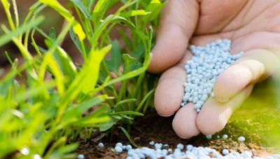 Eurostat: Γιατί μειώθηκε η χρήση λιπασμάτων στη γεωργία της ΕΕ