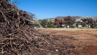 Ακαθάριστα οικόπεδα: Όποιος πρόλαβε και το δήλωσε «καθάρισε» - Τελική διορία