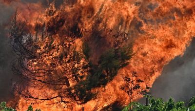 Φωτιά στη Ροδόπη - Μεγάλη κινητοποίηση της Πυροσβεστικής