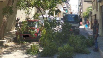 Ηράκλειο: Νέα πτώση κλαδιών - Η ενημέρωση του Δήμου