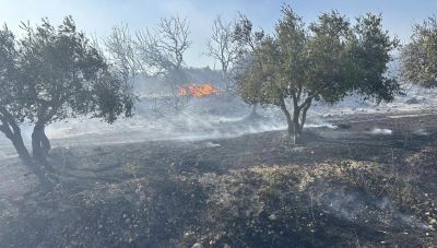 Οριοθετήθηκε η φωτιά στην περιοχή Άνω Άκρια Ηρακλείου